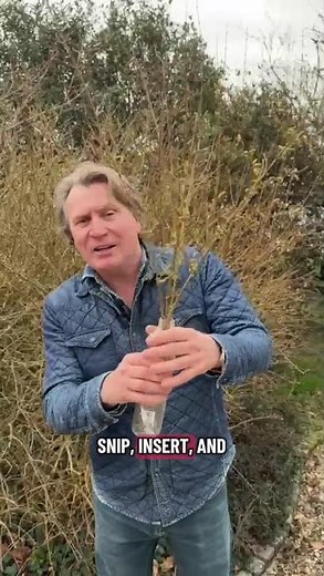This Trick Gets Flowers Blooming in Winter #gardening #plantscience #flowers