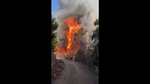 Chile forest fire threatens homes and vegetation as crews battle flames