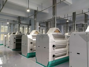 500T Maize Milling Plant | Corn Milling Machine for Sale with Factory Price