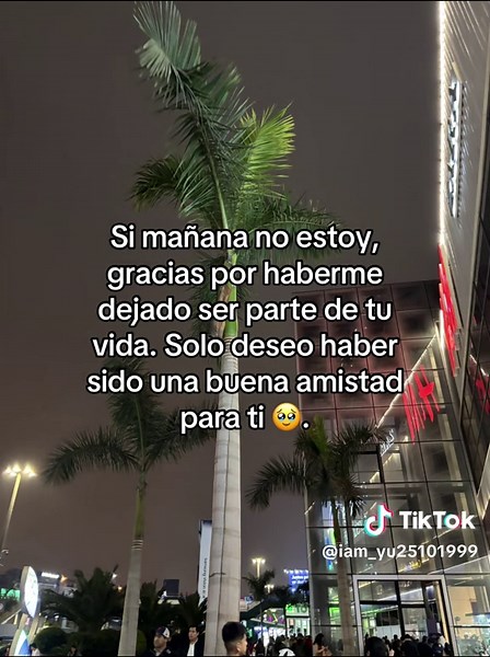 Frases de amistad para dedicar y reflexionar