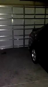 Thanks for sending us this video Enrique Nieves! So glad you love you TC1200 Flashlight!! | 1Tac.com