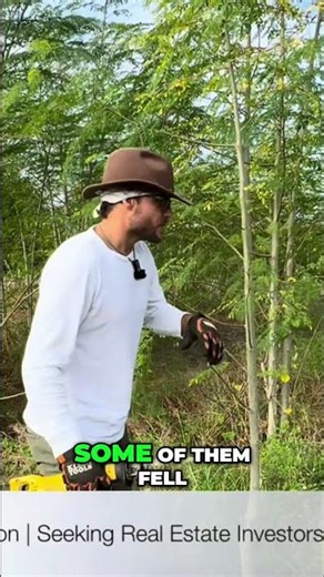 Moringa and Pruning Fruit Trees for a Bountiful Harvest