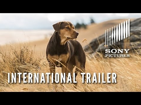 A Dog's Way Home | Official Trailer | In Cinemas January 31