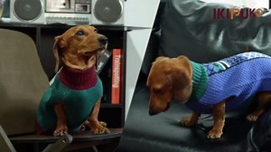 Dog Sweaters for Extra Large Dogs, Fall Thick Turtleneck Sweater with Leash Hole, Winter Thermal Knitwear Pullover Cold Weather Great Dane Sweater Christmas, Blue 5XL