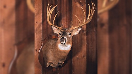 Where in Pa. have hunters bagged the biggest buck on record since 1830? (UPDATED)