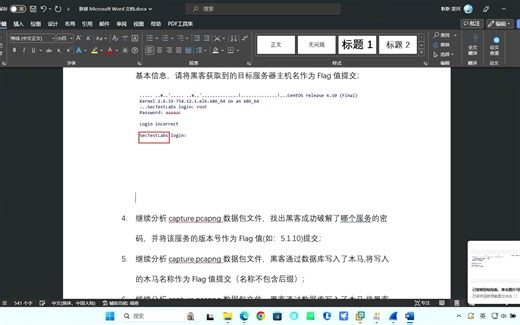 数据包capture.pcapng