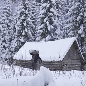 1.1M views · 9.3K reactions | extreme cold winter night in abandoned hunters log cabin #bushcraft #survival #shelter #dugout #shelter #camping #outdoor #living #asmr #cozy #fireplace #winter #shelter #winter #camping #solo #camping | Garden Mind | Facebook