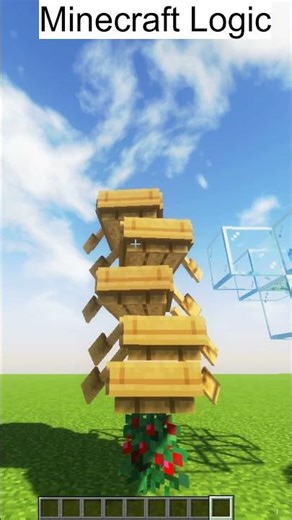 MInecraft Logic #minecraft #shorts #short #minecraftlogic #aa23 #assamtezpur #minecraftshorts #viral