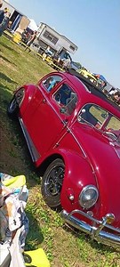 1957 Volkswagen Beetle VW Bug.