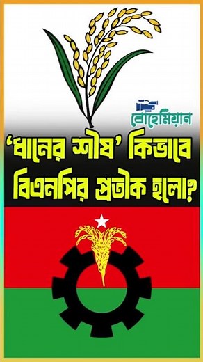How did the 'rice sheaf' become the symbol of BNP?