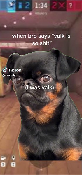 #fyp #foryou #viral #viraltiktok #real #funny #meme #r6 #siege #rainbowsixsiege #rainbow #r6siege