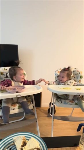 Twin Secret Handshake 😭💖