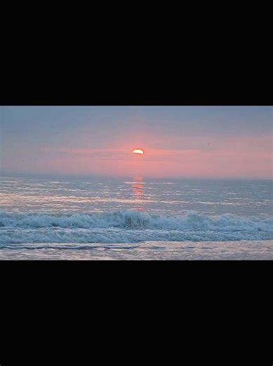 Baby Blue Eyes 🐳🌊🐬🌞 (@baby.blue.eyes.3737)’s videos with original sound - Musicpedia