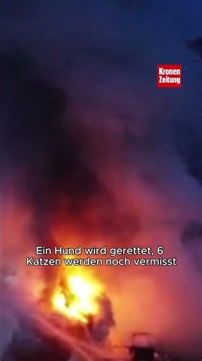 Apartment complex in flames: Families safe