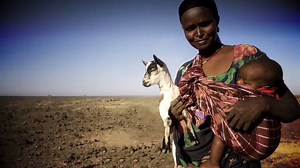 45 reactions · 30 shares | Since 1942, when PPR was first detected, the Food and Agriculture Organization of the United Nations (FAO) and OIE have been working hand by hand to eradicate this fatal disease. | World Organisation for Animal Health | Facebook