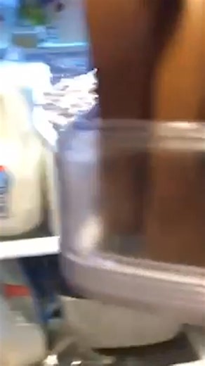 12K views · 36 reactions | Dogs Rush to Food | Reader's Digest | Facebook