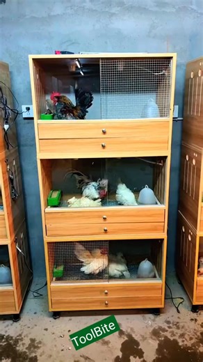 Multi-Layer Chicken Cage Setup — Clean, Space-Saving & Perfect for Small Farms