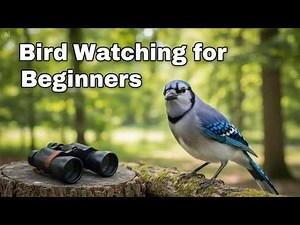 Spot Your First Bird This Weekend: A Beginner's Roadmap