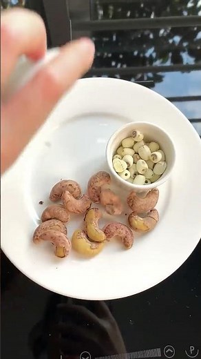 Cách nấu sữa hạt sen và hạt điều bằng máy làm sữa hạt #food