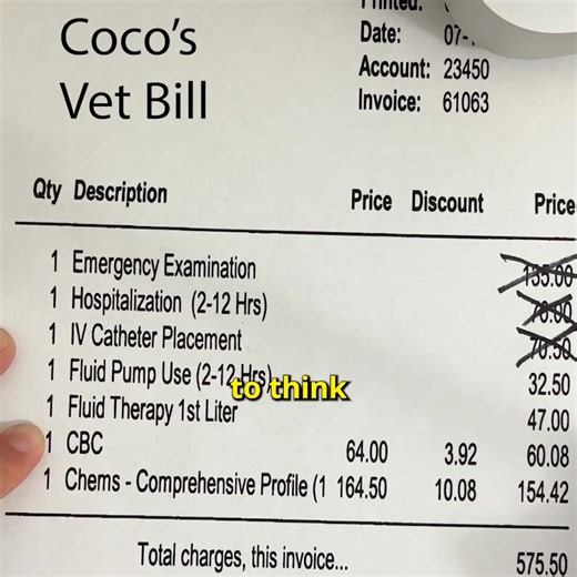 Pet Insurance that just makes sense. | OTTO Insurance