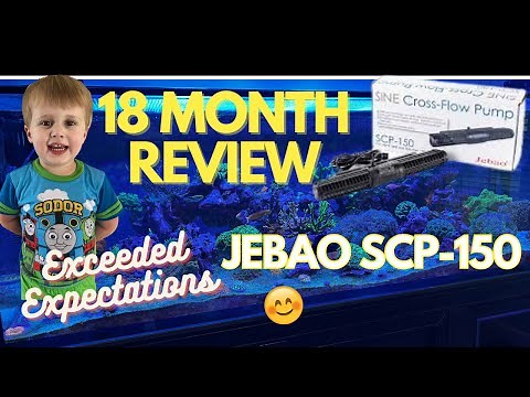 Jebao SCP-150 Gyre Pump 18 Month Review-Would I Buy it Again?