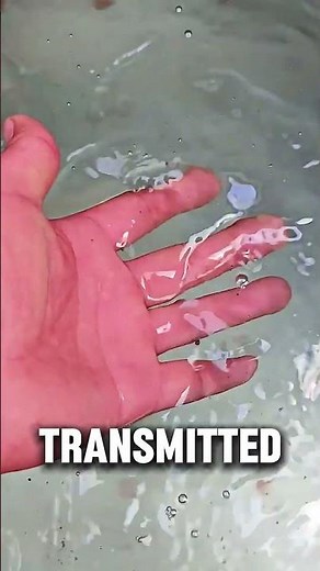 How Sound Waves Clean Oil Instantly