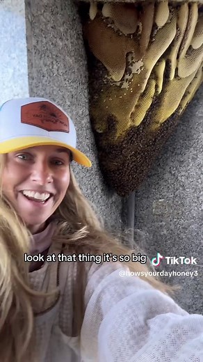 Bees and Their Role in Honey Production