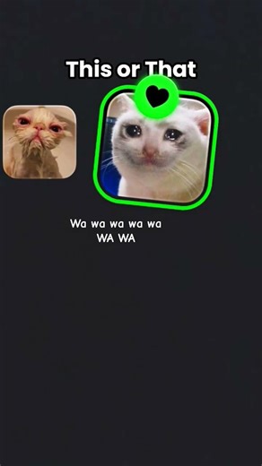 wa wa wa wa wa wa waaa