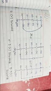Ring structure of glucose or cyclic structure or fisher structure of glucose.