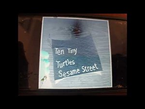 ten tiny turtles sesame street fc.