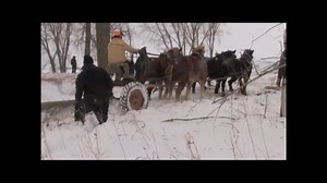 Tim Carroll of Cedar River Horse Logging takes a break from cutting trees near Lyle, Minnesota, to discuss logging arches. He compares a couple arches with Todd Eggler. #horselogging #logging #drafthorses | Rural Heritage Magazine