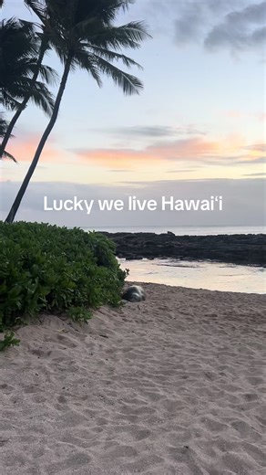 Explore the Natural Beauty of Hawaii's Oahu