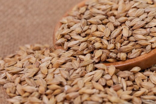 How To Make Barley Malt Syrup? — Farm & Animals