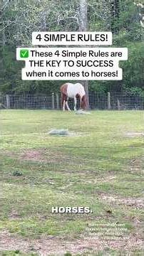 4 SIMPLE RULES! ✅ These 4 Simple Rules are THE KEY TO SUCCESS when it comes to horses! #horse