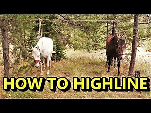 Tying Horses On A Highline; High Country Tip