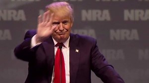 The NRA endorses Donald Trump, but do its members?