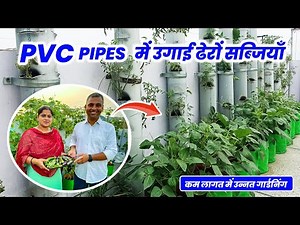 PVC PIPES में उगाई ढेरों सब्जियाँ 🌽 अब जगह का रोना ख़तम 🤩 Organic Vegetable Gardening in PVC Pipes