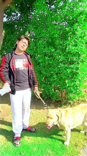 FUNNY Videos That Are Trending Right Now