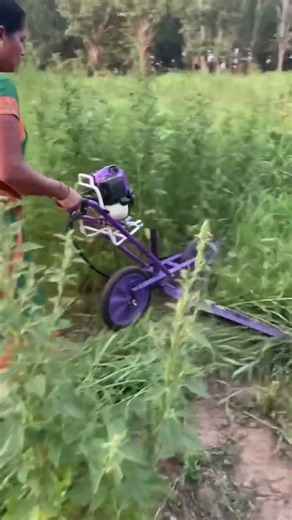 Crushing Overgrown Jungle! 🌾 The Ultimate Walk-Behind Sickle Bar Mower in Action #farming #viral