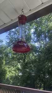 Hummingbird feeders (I have 3 of these!) keep leaking from the flowers as soon as I fill them. How do I stop this? Been cleaning them thoroughly but it’s been happening this summer with all 3 feeders but never occurred for the first few months. Do the flowers get defective? Wtf 😔