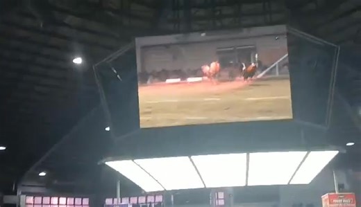 Gabe Gabriel on Reels | Facebook