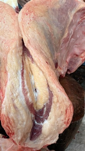 Amazing cow's brisket meat processing skills