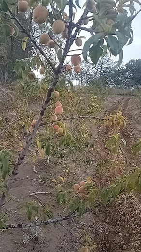 Jesus Morales on Reels