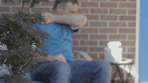 Wet spring brings early allergy season, doctors urge starting relief now