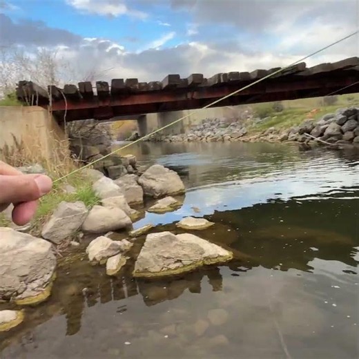 I Made the IMPOSSIBLE Cast Fly Fishing for Brown Trout