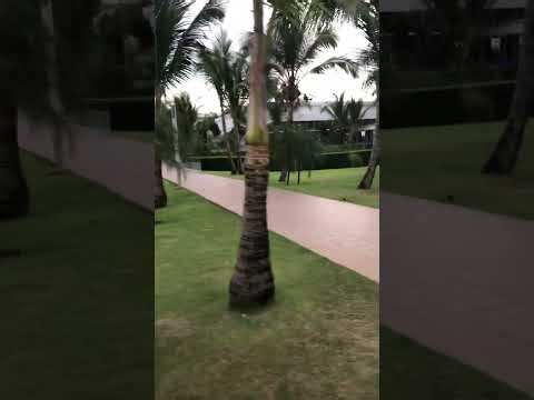 Tour of Riu Republica Resort in Dominion Republic