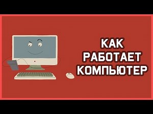 Edu: Как работает компьютер