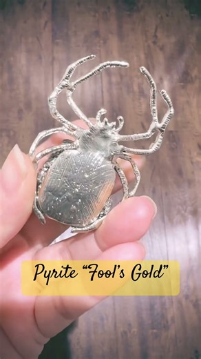 Pyrite spider from Taiwan 🇹🇼 #foolsgold #crystalcollection