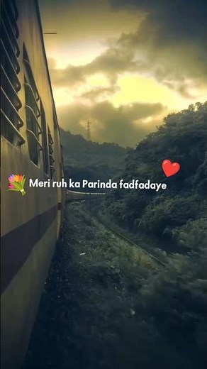 mere ruh ka Parinda fadfadaye (Arijit Singh)#bulleya #arijitsingh #lyricvideo #lyrics #lyricsstatus