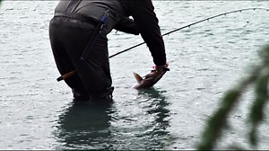 Why is TPWD restocking Twin Buttes with 8,000 new fish